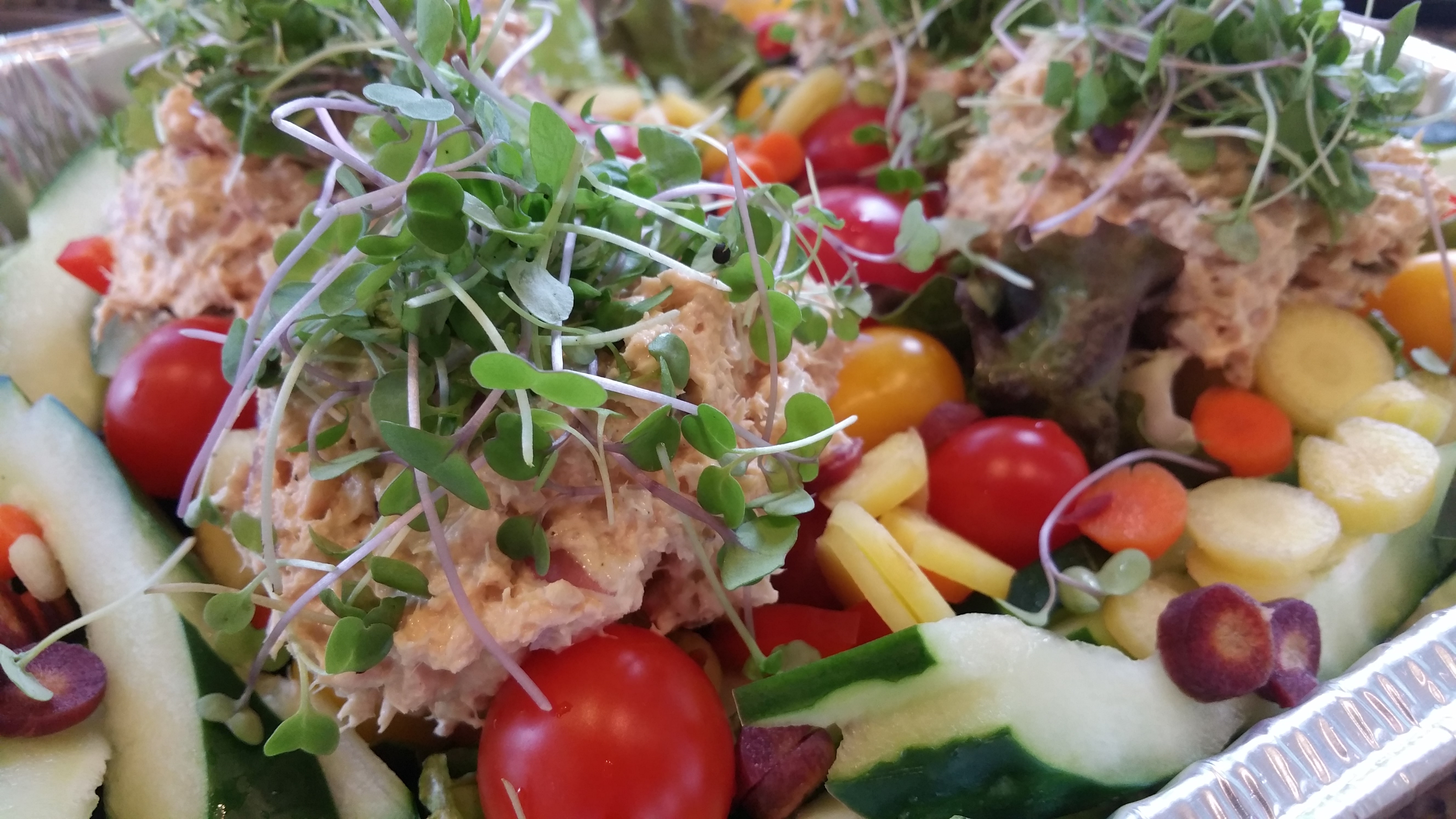 Green Salad with Coho Salmon
