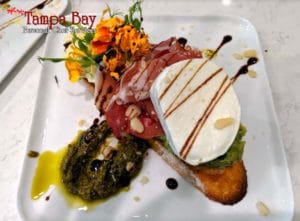 avo toast app plate copy